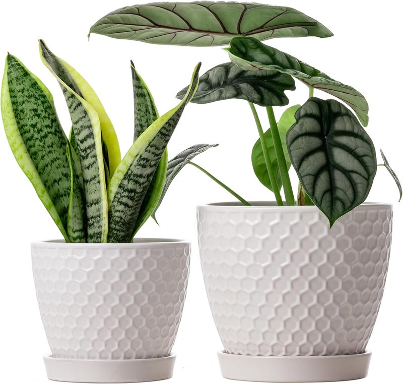 Docrin Store Ceramic Plant Pots Set of 2 (6.6"+5.5"), High-Fired Clay Indoor Planters with Drainage Holes & Saucer, Honeycomb Modern Home Decor for All House Plants - Image 1
